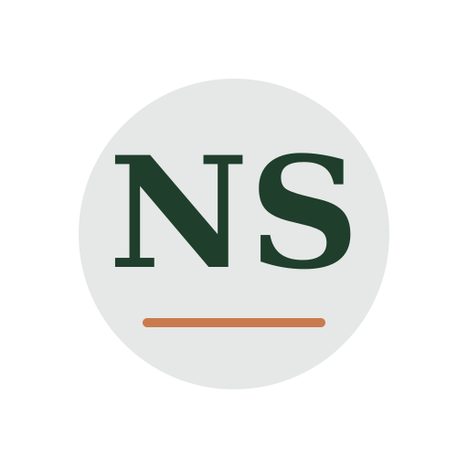 North Stone Air Duct Services logo